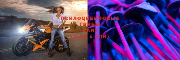 сатива Абинск