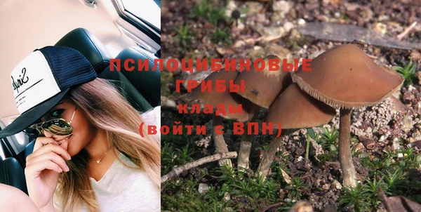 ешки Ладушкин