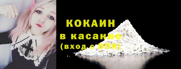сатива Абинск